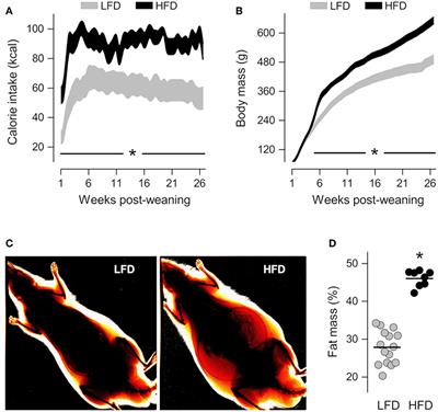 Site-Specific Reprogramming of Macrophage Responsiveness to Bacterial Lipopolysaccharide in Obesity